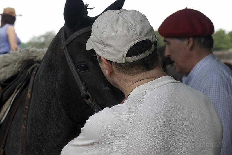 20071202_145952  D200 3900x2600.jpg - Murray Dalfen, from Montreal, a guest at the Estancia, checks his horse